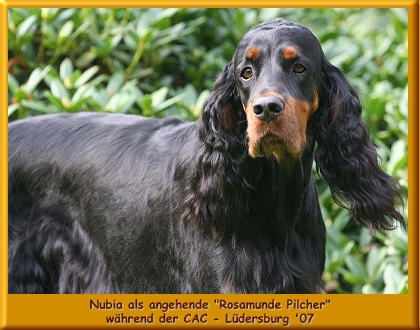 Nubia_006b.jpg