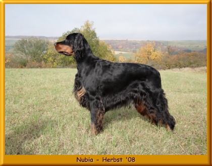 Nubia_013b.jpg